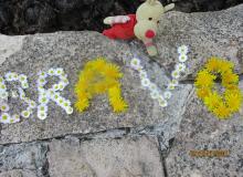 bravo.jpg Thumbnail