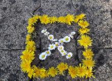 land_art.jpg Thumbnail